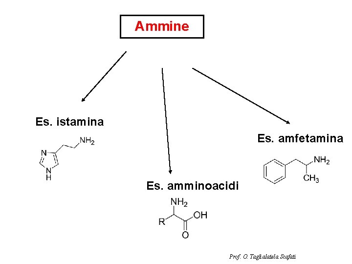 Ammine Es. istamina Es. amfetamina Es. amminoacidi Prof. O. Taglialatela Scafati 