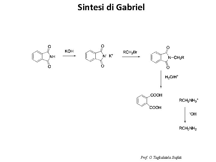 Sintesi di Gabriel Prof. O. Taglialatela Scafati 
