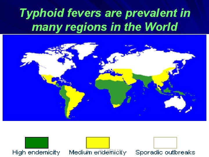Typhoid fevers are prevalent in many regions in the World www. Assignment. Point. com