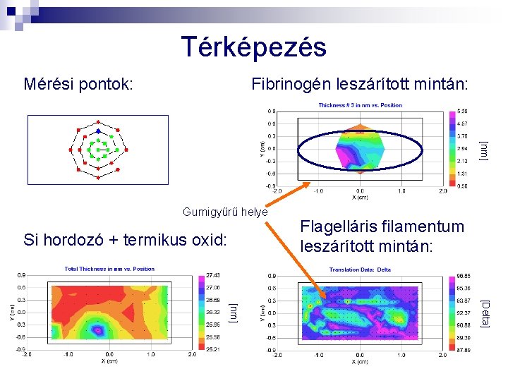 Térképezés Mérési pontok: Fibrinogén leszárított mintán: [nm] Gumigyűrű helye Si hordozó + termikus oxid: