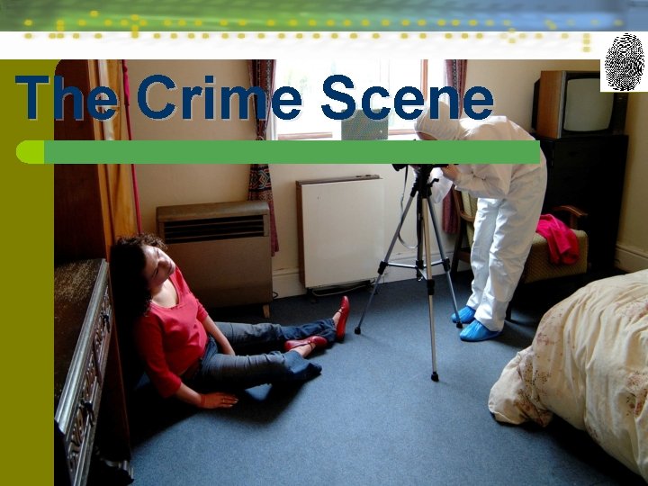 The Crime Scene 