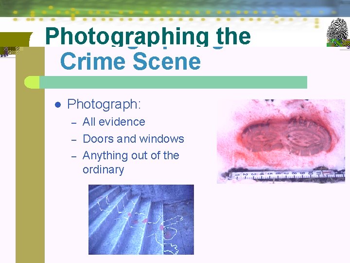 Photographing the Crime Scene l Photograph: – – – All evidence Doors and windows