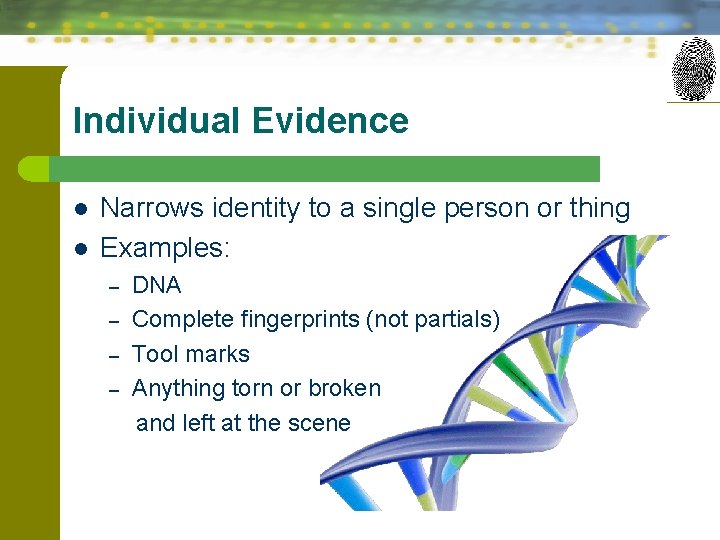 Individual Evidence l l Narrows identity to a single person or thing Examples: –