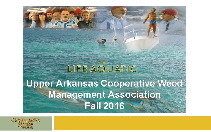 Upper Arkansas Cooperative Weed Dr. Scott Nissen Western Invasive Weed Short Course Management Association Upper Arkansas Cooperative Weed Dr. Scott Nissen Western Invasive Weed Short Course Management Association