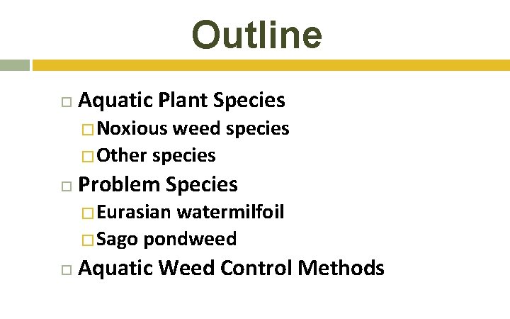 Outline Aquatic Plant Species �Noxious weed species �Other species Problem Species �Eurasian watermilfoil �Sago Outline Aquatic Plant Species �Noxious weed species �Other species Problem Species �Eurasian watermilfoil �Sago