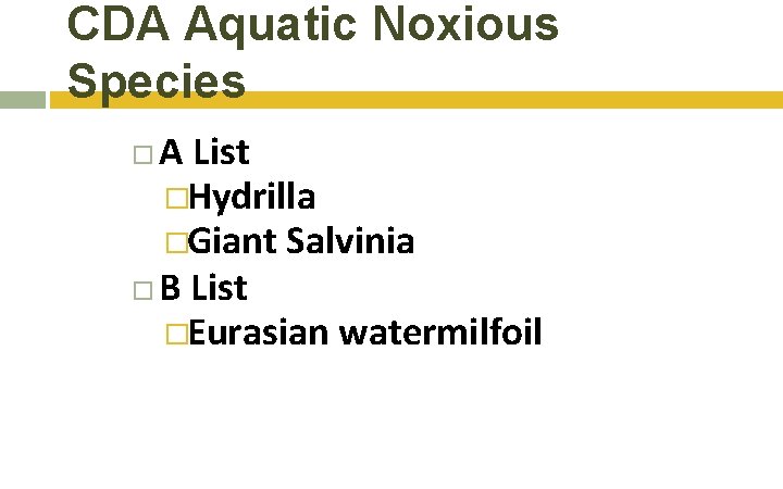 CDA Aquatic Noxious Species A List �Hydrilla �Giant Salvinia B List �Eurasian watermilfoil CDA Aquatic Noxious Species A List �Hydrilla �Giant Salvinia B List �Eurasian watermilfoil