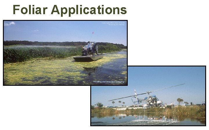 Foliar Applications Foliar Applications