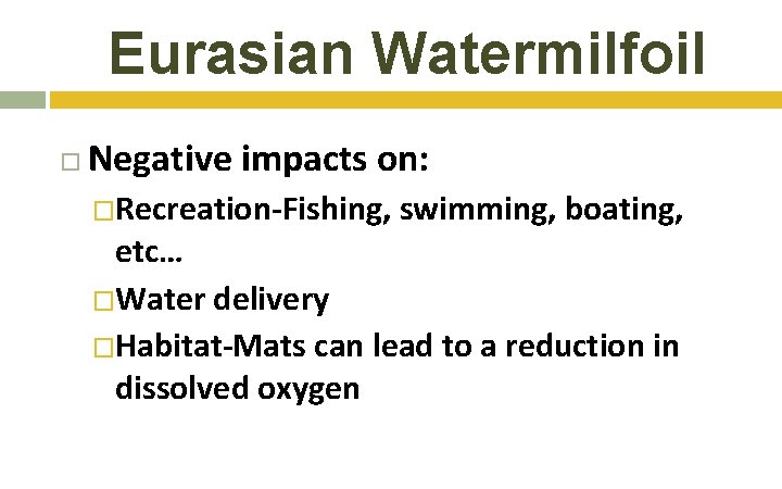 Eurasian Watermilfoil Negative impacts on: �Recreation-Fishing, swimming, boating, etc… �Water delivery �Habitat-Mats can lead Eurasian Watermilfoil Negative impacts on: �Recreation-Fishing, swimming, boating, etc… �Water delivery �Habitat-Mats can lead