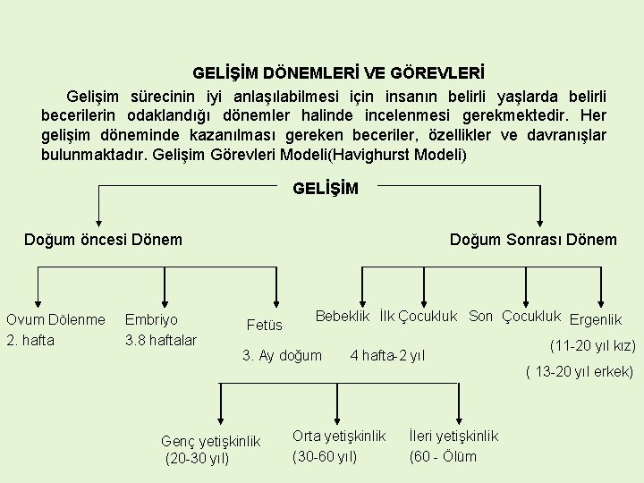 GELİŞİM DÖNEMLERİ VE GÖREVLERİ Gelişim sürecinin iyi anlaşılabilmesi için insanın belirli yaşlarda belirli becerilerin