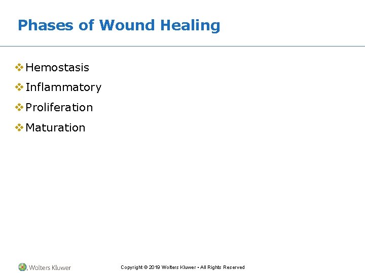 Phases of Wound Healing v Hemostasis v Inflammatory v Proliferation v Maturation Copyright ©