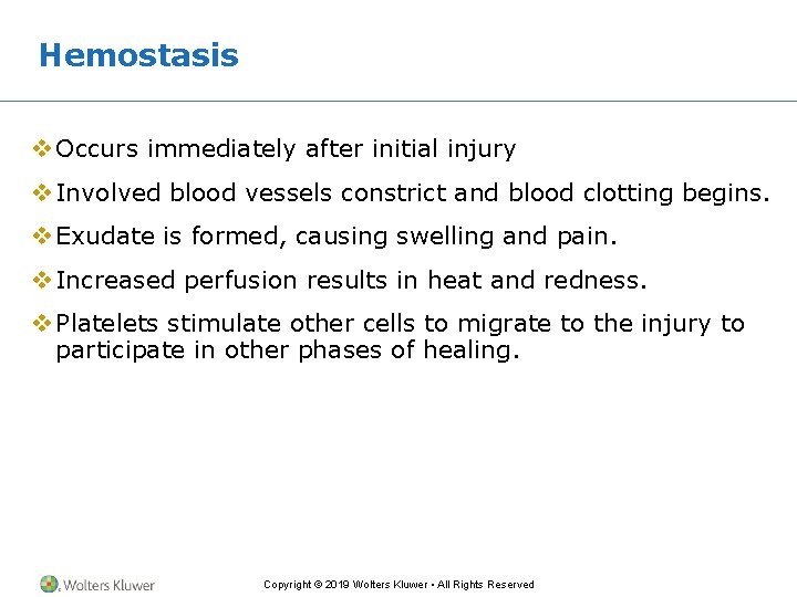 Hemostasis v Occurs immediately after initial injury v Involved blood vessels constrict and blood