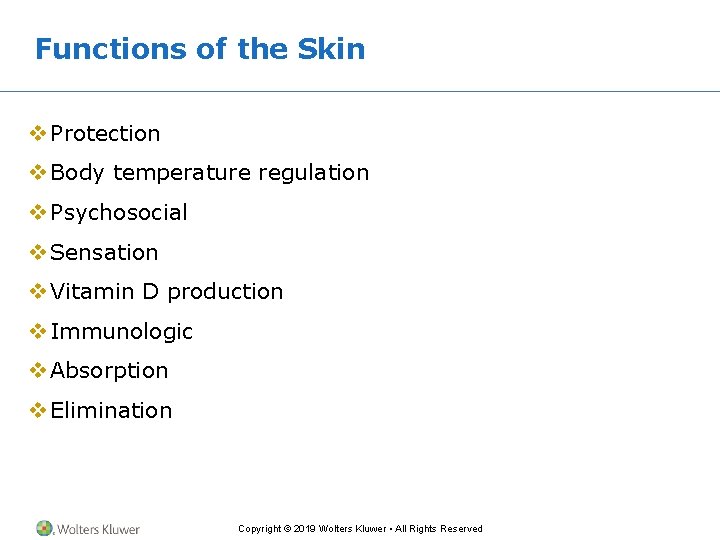 Functions of the Skin v Protection v Body temperature regulation v Psychosocial v Sensation