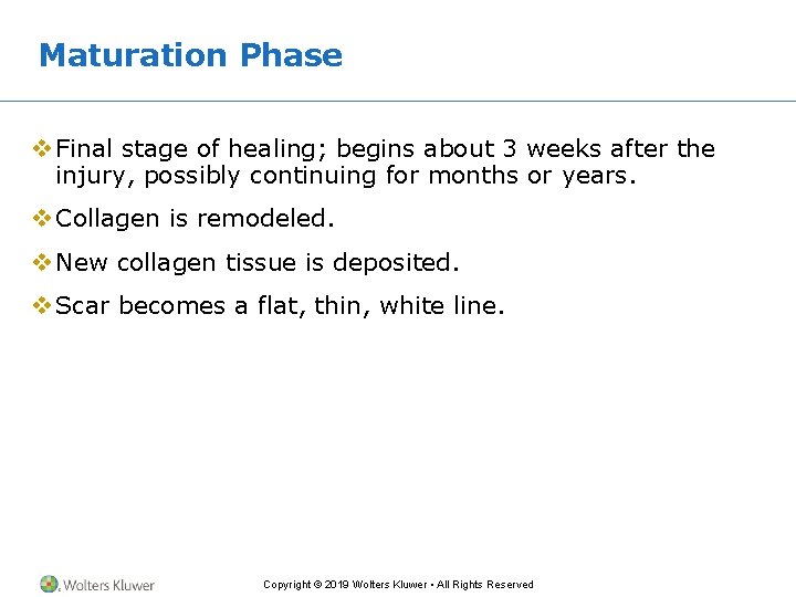 Maturation Phase v Final stage of healing; begins about 3 weeks after the injury,