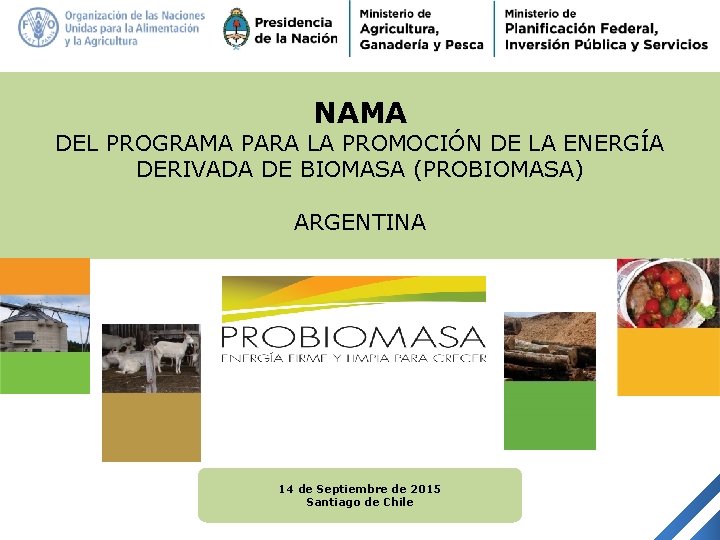 NAMA DEL PROGRAMA PARA LA PROMOCIÓN DE LA ENERGÍA DERIVADA DE BIOMASA (PROBIOMASA) ARGENTINA