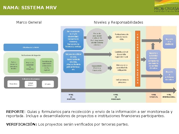 NAMA: SISTEMA MRV Marco General Niveles y Responsabilidades REPORTE: Guías y formularios para recolección