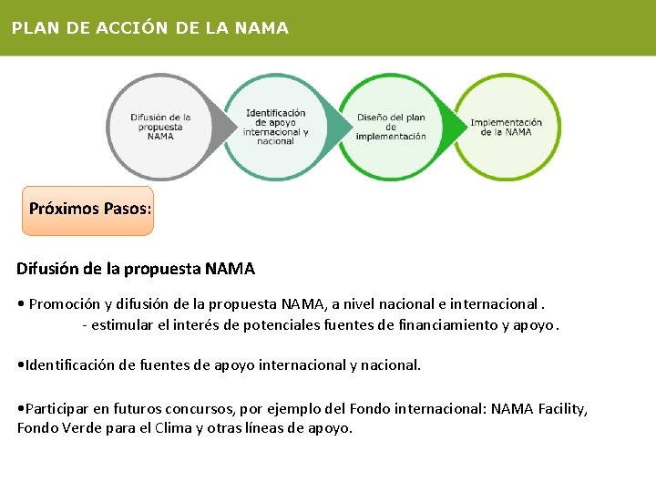 PLAN DE ACCIÓN DE LA NAMA Próximos Pasos: Difusión de la propuesta NAMA •