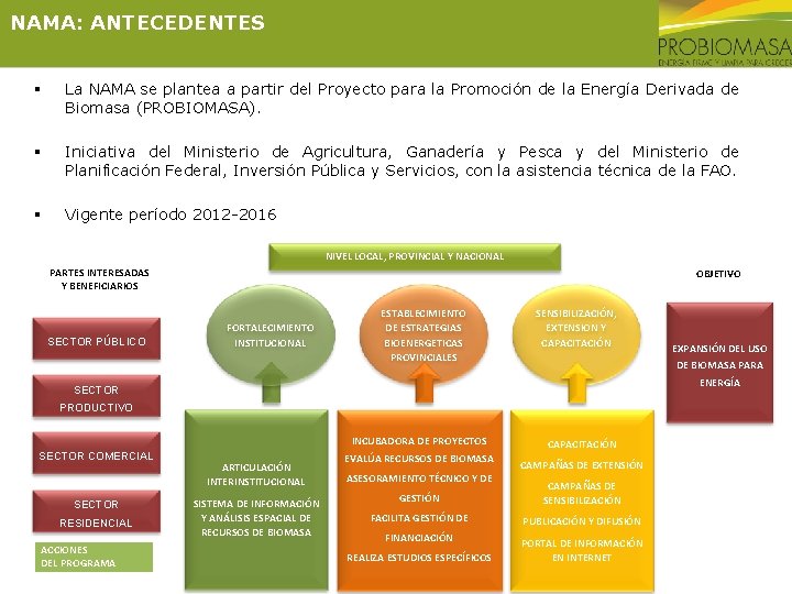 NAMA: ANTECEDENTES § La NAMA se plantea a partir del Proyecto para la Promoción