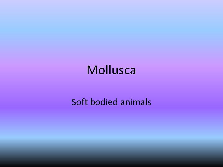 Mollusca Soft bodied animals 