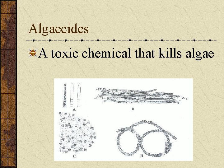 Algaecides A toxic chemical that kills algae 