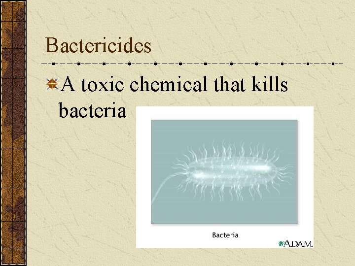 Bactericides A toxic chemical that kills bacteria 