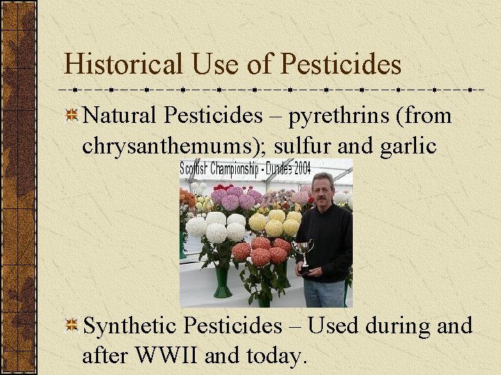 Historical Use of Pesticides Natural Pesticides – pyrethrins (from chrysanthemums); sulfur and garlic Synthetic