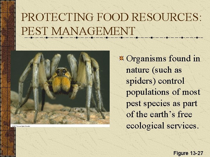 PROTECTING FOOD RESOURCES: PEST MANAGEMENT Organisms found in nature (such as spiders) control populations