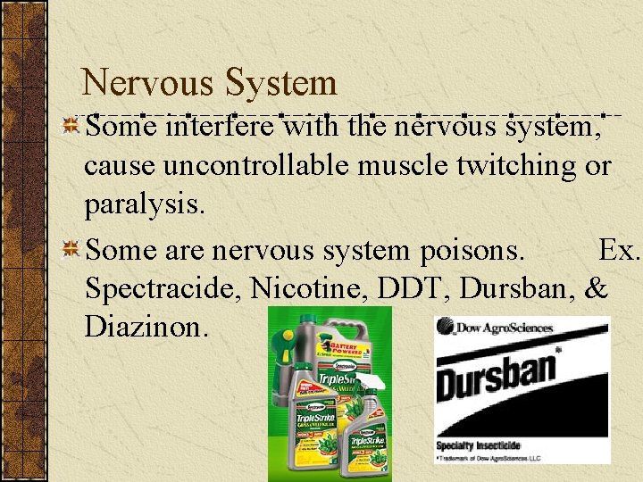 Nervous System Some interfere with the nervous system, cause uncontrollable muscle twitching or paralysis.