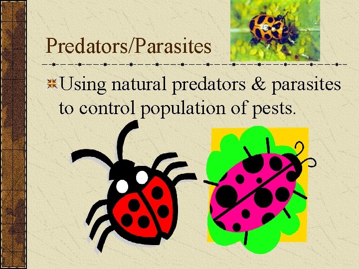 Predators/Parasites Using natural predators & parasites to control population of pests. 