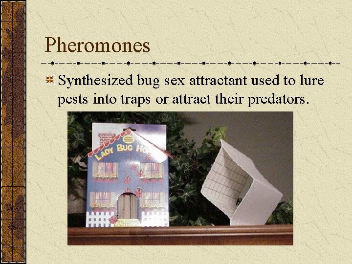 Pheromones Synthesized bug sex attractant used to lure pests into traps or attract their