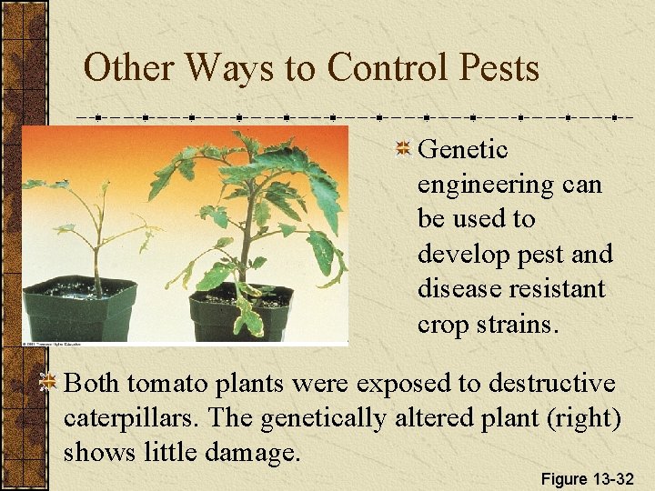 Other Ways to Control Pests Genetic engineering can be used to develop pest and