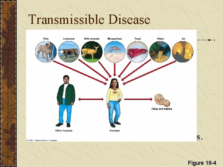 Transmissible Disease Pathway for infectious disease in humans. Figure 18 -4 