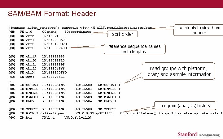 SAM/BAM Format: Header [benpass align_genotype]$ samtools view -H all. Y. recalibrated. merge. bam samtools