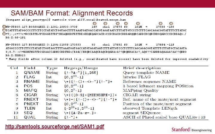 SAM/BAM Format: Alignment Records [benpass align_genotype]$ samtools view all. Y. recalibrated. merge. bam 2