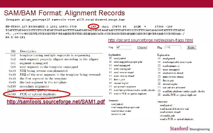 SAM/BAM Format: Alignment Records [benpass align_genotype]$ samtools view all. Y. recalibrated. merge. bam HW-ST