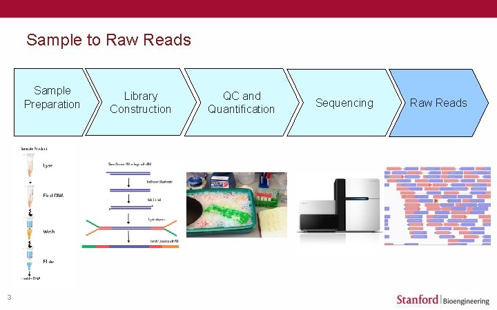 Sample to Raw Reads Sample Preparation 3 Library Construction QC and Quantification Sequencing Raw