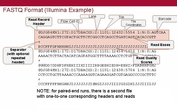 FASTQ Format (Illumina Example) Read Record Header Separator (with optional repeated header) Lane Flow