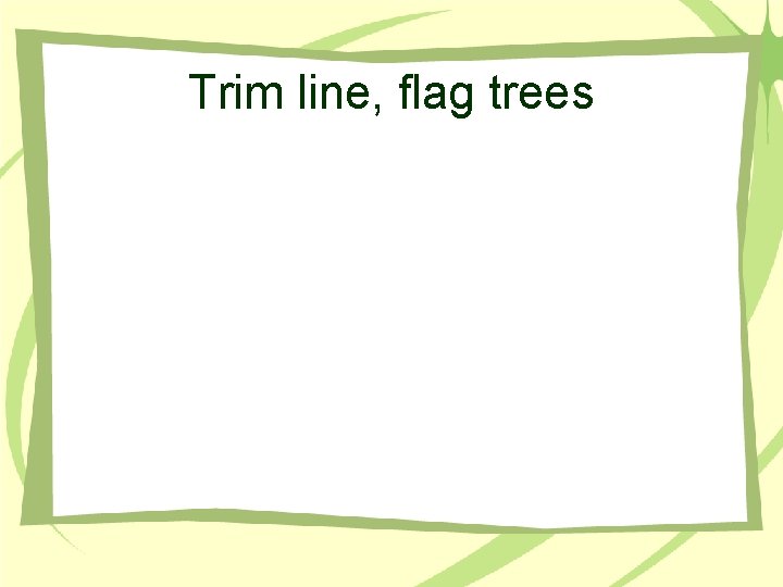 Trim line, flag trees 