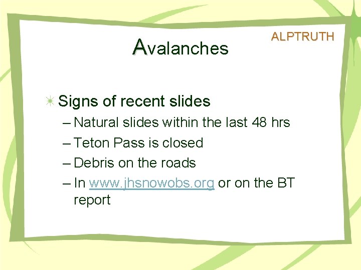 Avalanches ALPTRUTH Signs of recent slides – Natural slides within the last 48 hrs