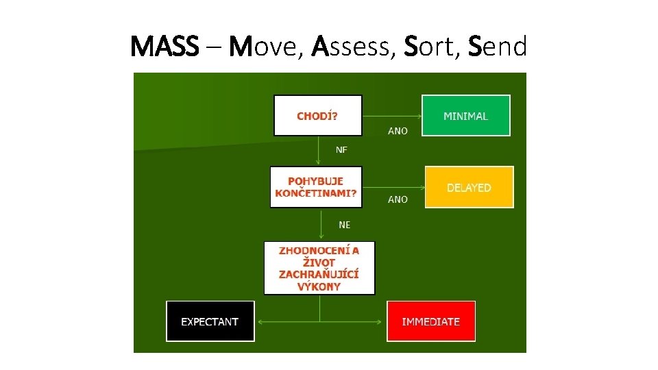 MASS – Move, Assess, Sort, Send 