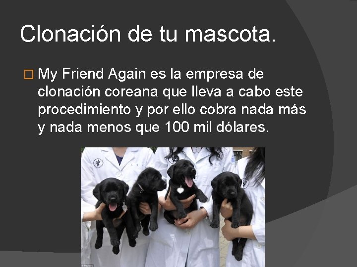 Clonación de tu mascota. � My Friend Again es la empresa de clonación coreana Clonación de tu mascota. � My Friend Again es la empresa de clonación coreana