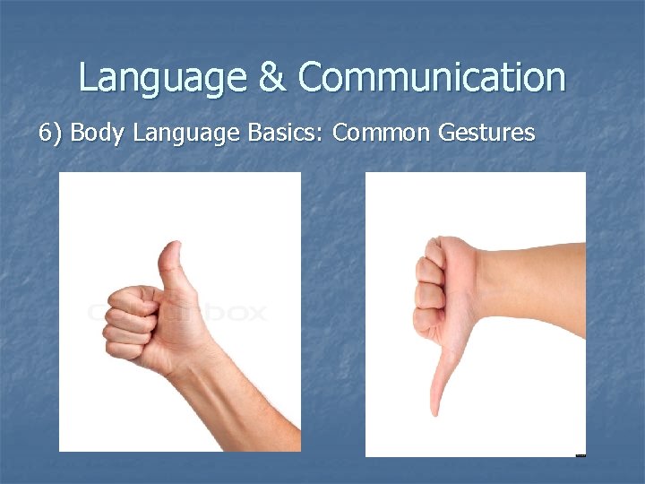 English Communication And Crosscultural Survival Tactics In Americas