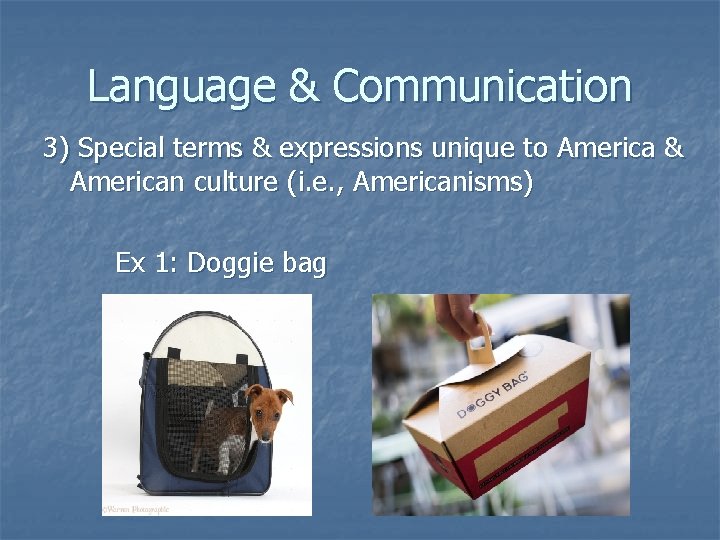 Language & Communication 3) Special terms & expressions unique to America & American culture