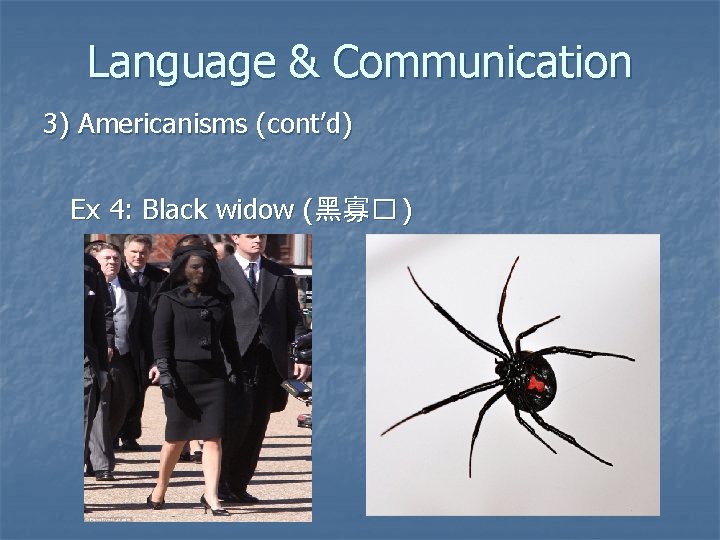 Language & Communication 3) Americanisms (cont’d) Ex 4: Black widow (黑寡� ) 