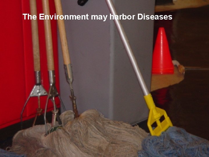 The Environment may harbor Diseases 