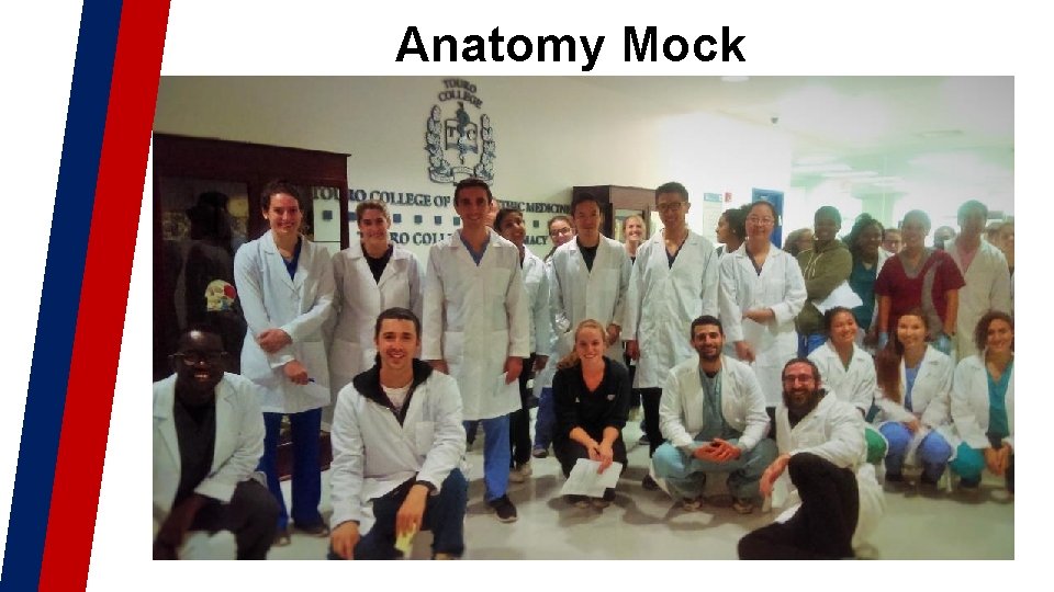 Anatomy Mock Anatomy Mock
