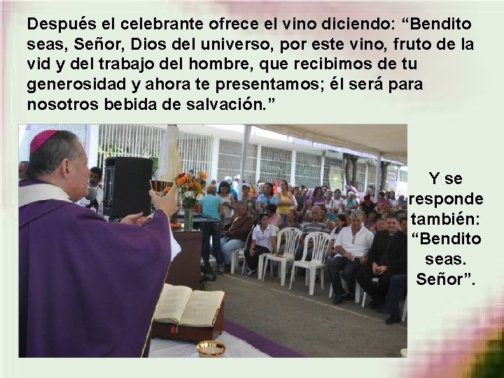 Después el celebrante ofrece el vino diciendo: “Bendito seas, Señor, Dios del universo, por