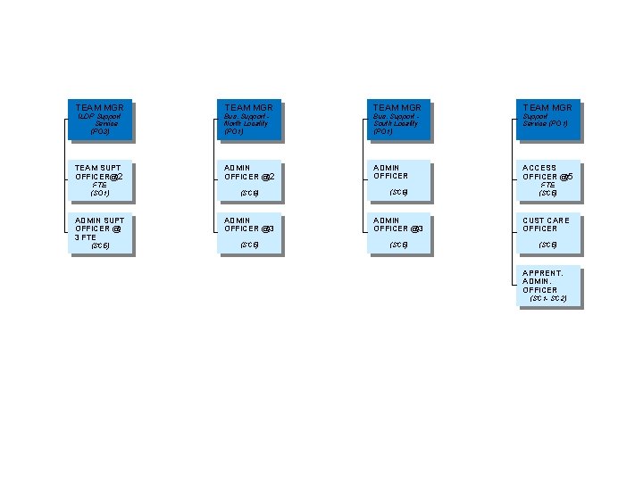 TEAM MGR ILDP Support Service (PO 3) TEAM SUPT OFFICER@2 FTE (SO 1) ADMIN