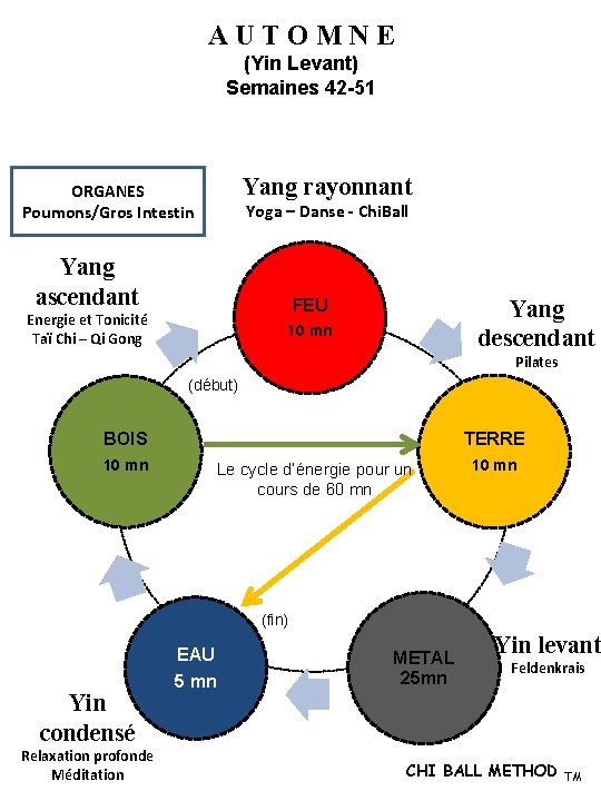 AUTOMNE (Yin Levant) Semaines 42 -51 Yang rayonnant ORGANES Poumons/Gros Intestin Yoga – Danse