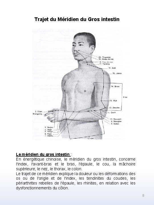 Trajet du Méridien du Gros intestin Le méridien du gros intestin : En énergétique