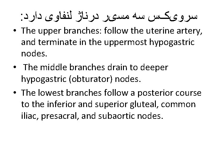 : ﺳﺮﻭیکﺲ ﺳﻪ ﻣﺴیﺮ ﺩﺭﻧﺎژ ﻟﻨﻔﺎﻭی ﺩﺍﺭﺩ • The upper branches: follow the uterine